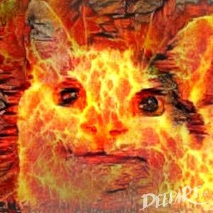 Meet your Posher, Cody